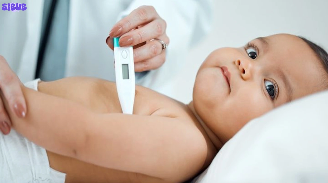 Children’s Motrin Dosage Guide Safe Use for Fever