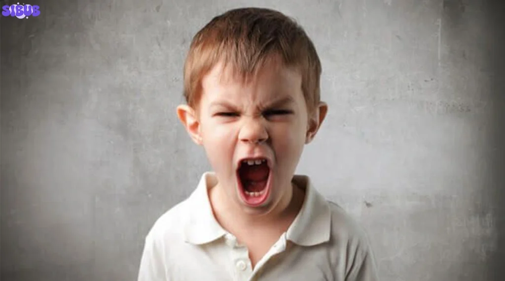 Emotions Wheel for Kids Benefits