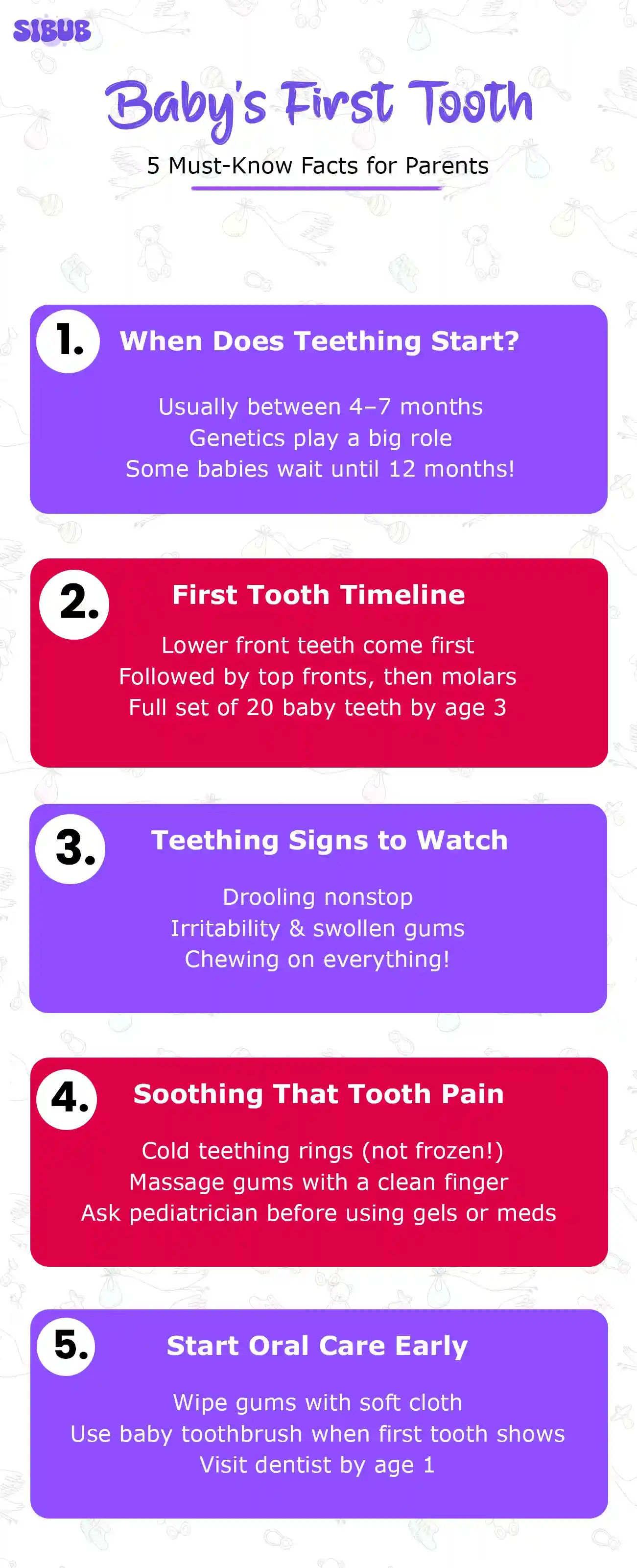 When Does an Infant Get Teeth 7 Things Parents Should Know