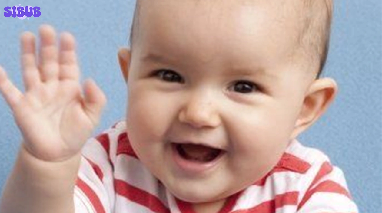 Infant Sign Language