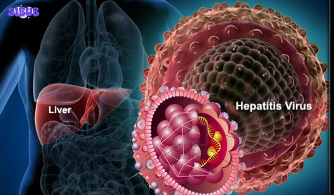 Hepatitis B Vaccine