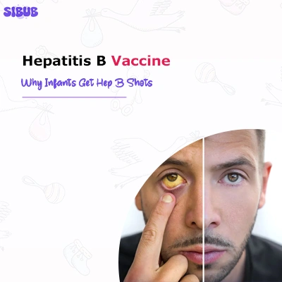 Hepatitis B Vaccine